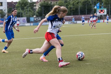 Bild 152 - wBJ Hamburger SV - FC Suederelbe : Ergebnis: 9:0